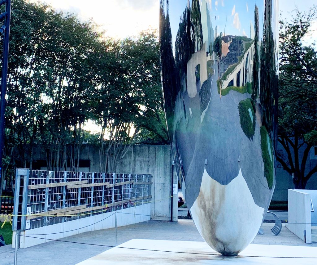 Zsa Zsa and Houston's Museum District TravelToolsTips