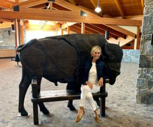 Airport Bozeman Bull