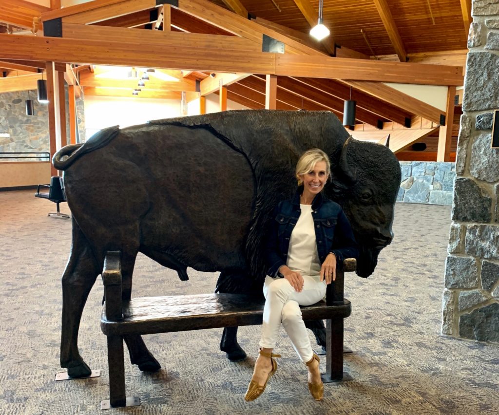 Bison at Airport