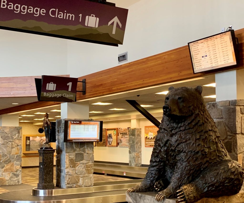 Bear at Baggage Claim