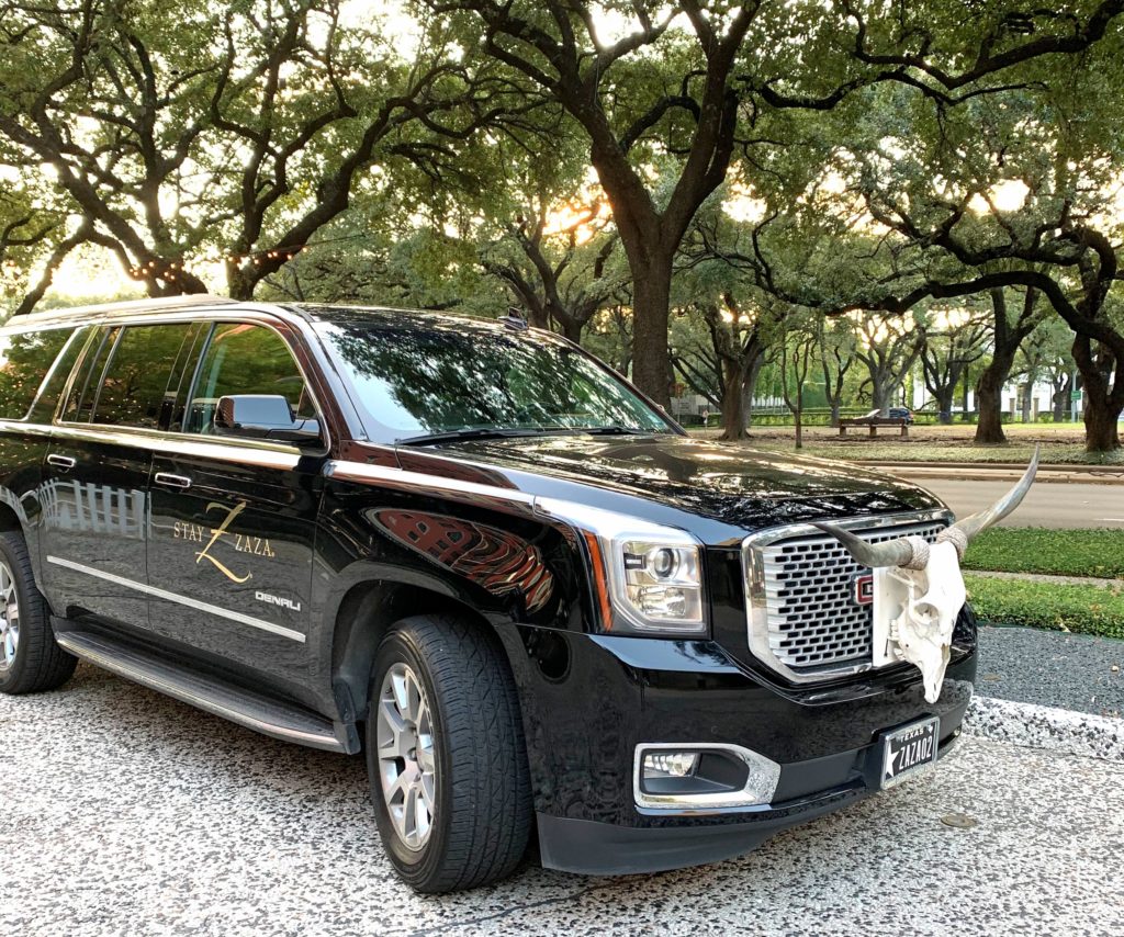 Zsa Zsa and Houston's Museum District TravelToolsTips