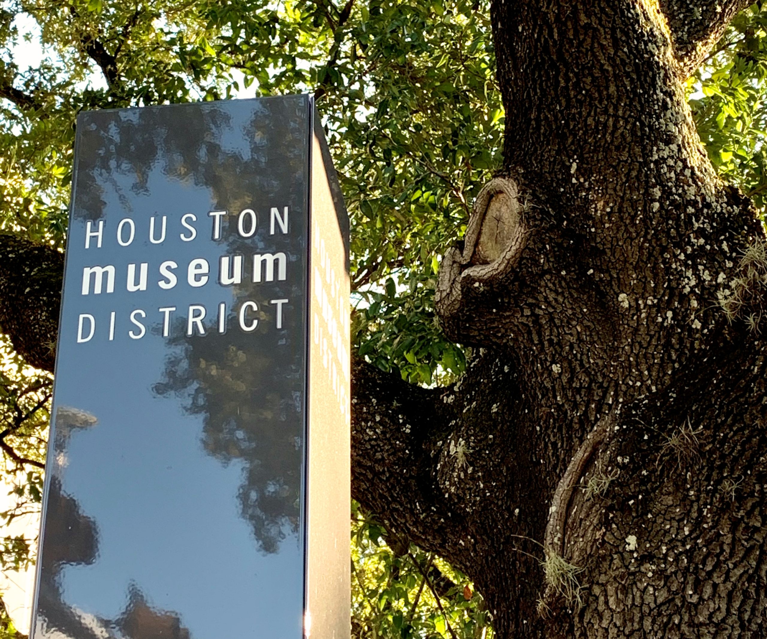 Zsa Zsa and Houston's Museum District TravelToolsTips
