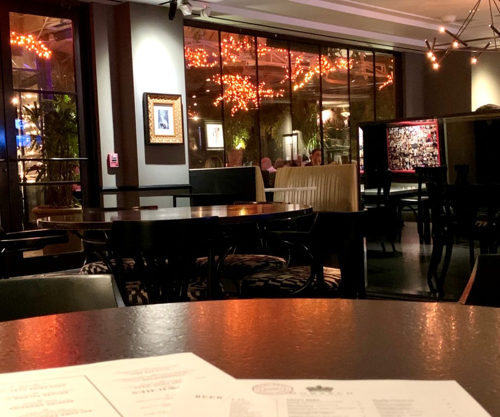 Zsa Zsa and Houston's Museum District TravelToolsTips