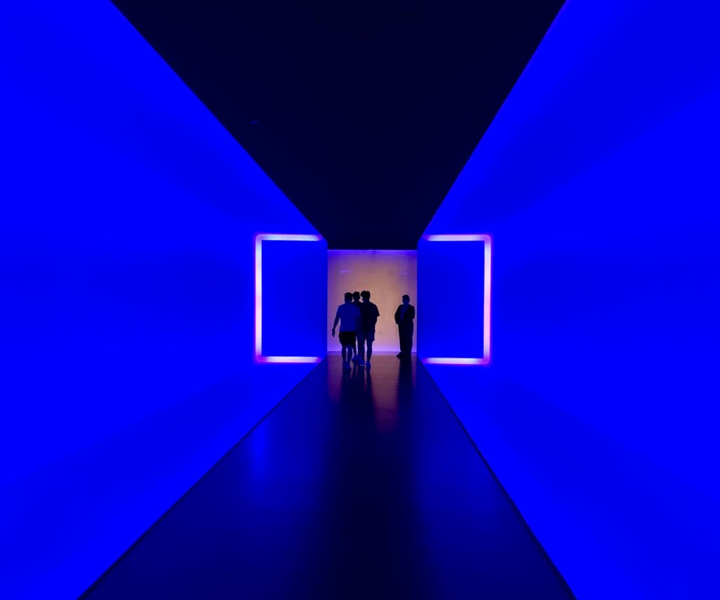 Zsa Zsa and Houston's Museum District TravelToolsTips