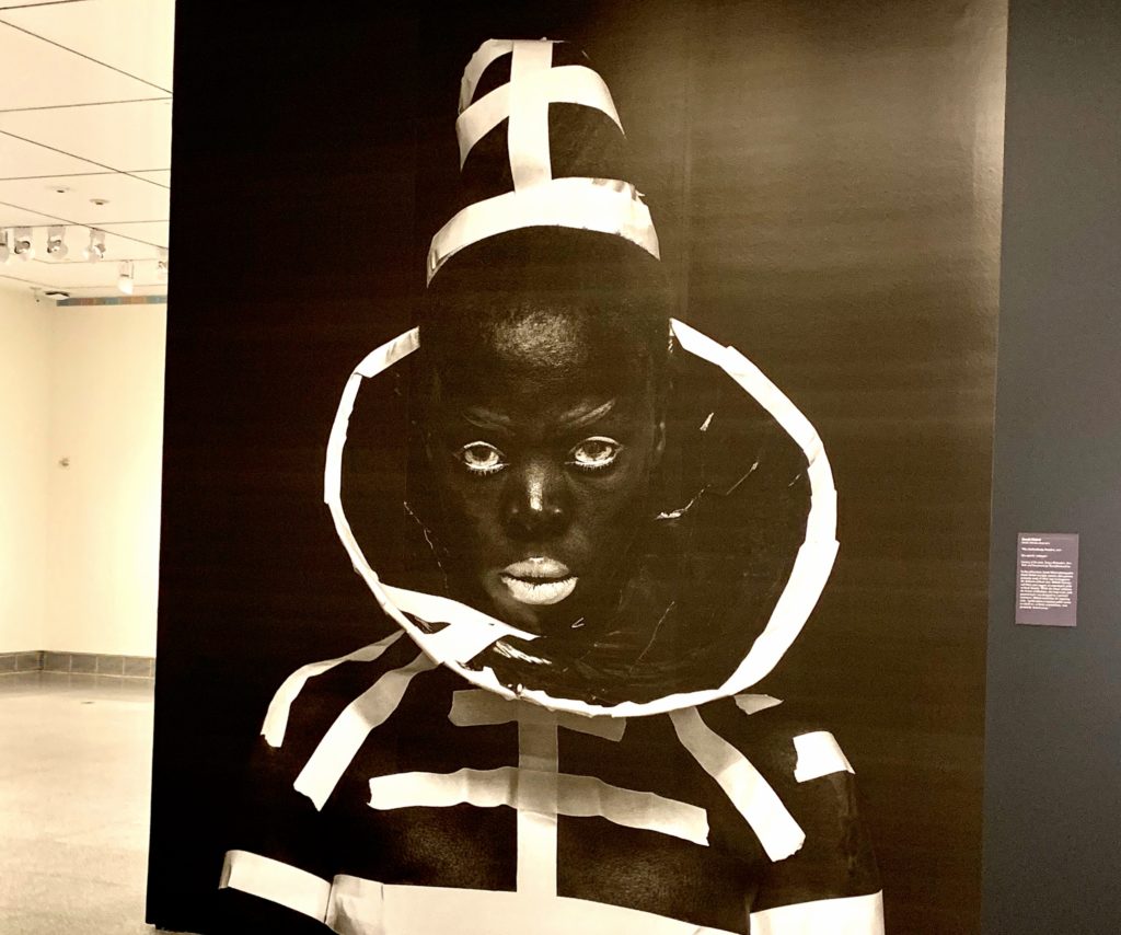 Zsa Zsa and Houston's Museum District TravelToolsTips