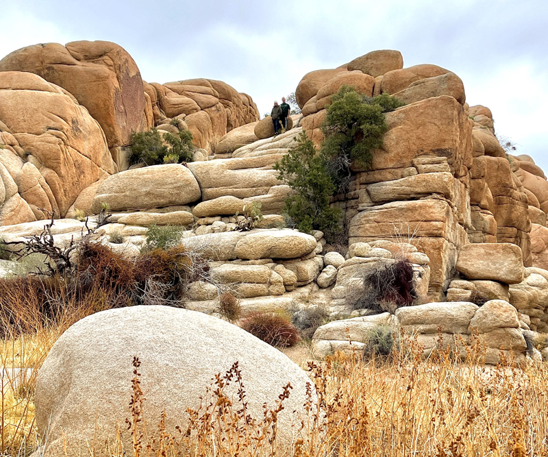 Joshua Tree Rocks