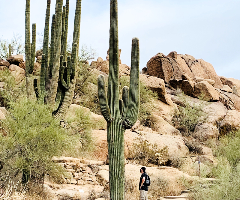 Hiking in Scottsdale