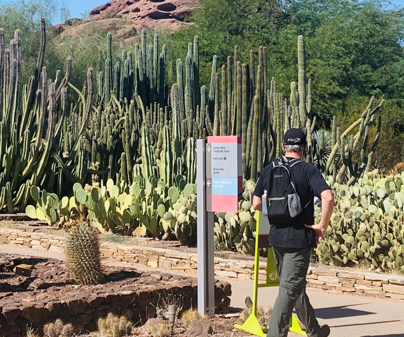 Desert Botanical Garden