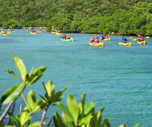 Cat Cay Kayaking in St Thomas