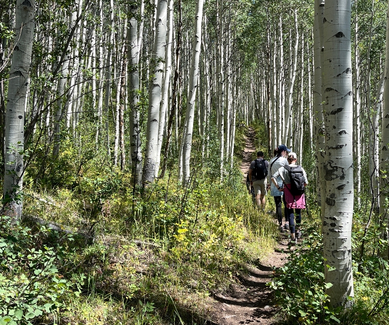 Big Horn Creek Trail