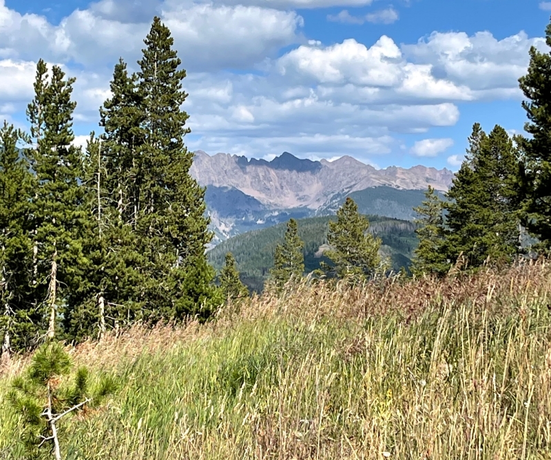 Fireweed Hike