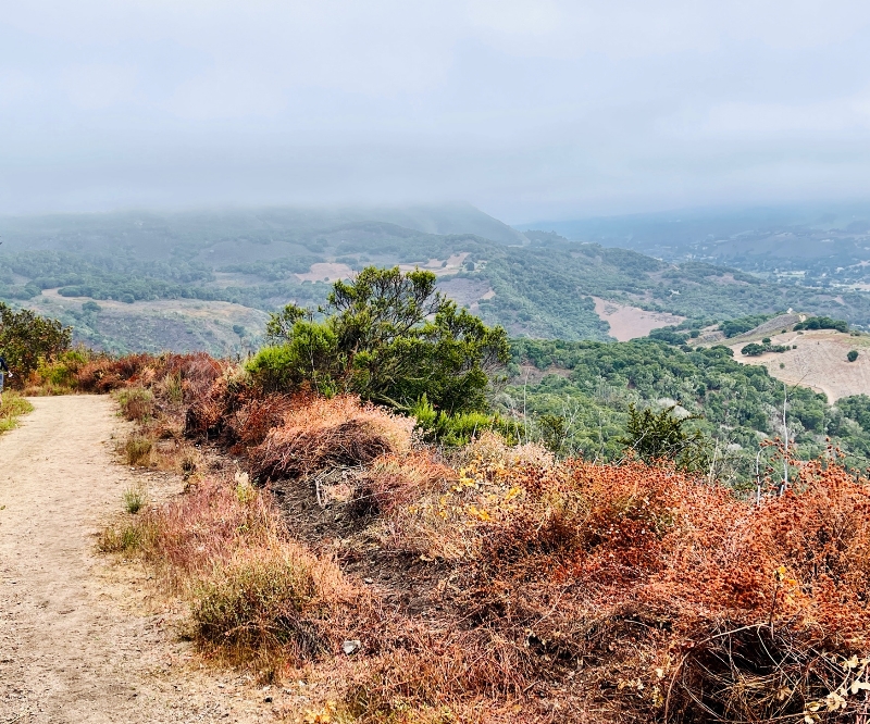 Hiking at Carmel Valley Ranch