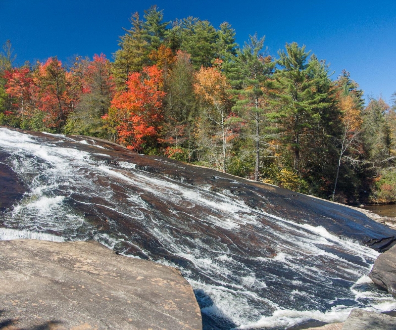 Breidel Veil Falls DuPont State Park