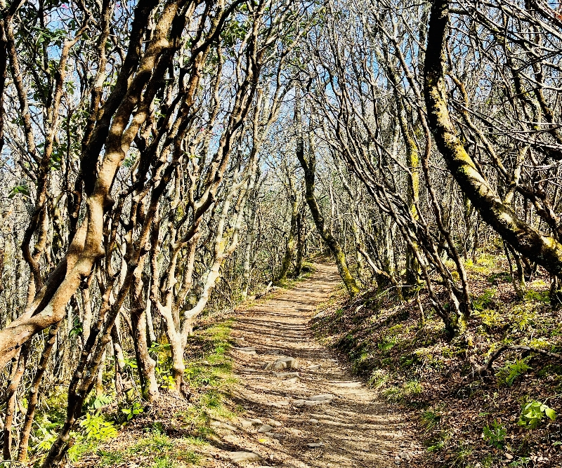 Crabby Gardens Trail