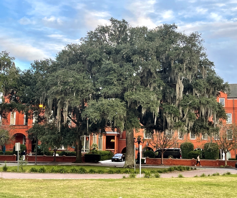 Mansion on Forsyth Park