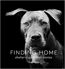 Finding Home: Shelter Dogs and Their Stories (A photographic tribute to rescue dogs) - 2015